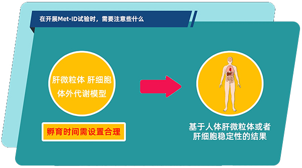 肝微粒體、肝細胞體外代謝模型中，孵育時間需設置合理.jpg