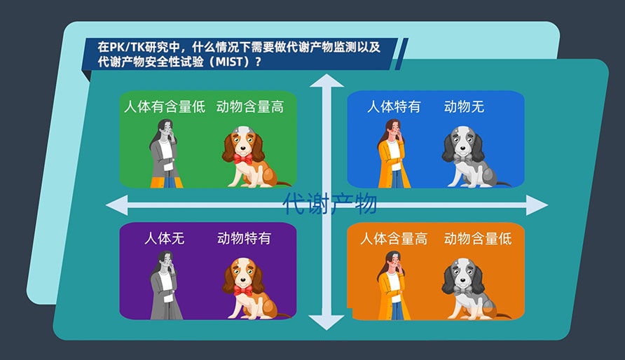 在PK-TK研究中，什么情況下需要做代謝產(chǎn)物監(jiān)測以及代謝產(chǎn)物安全性試驗（MIST）
