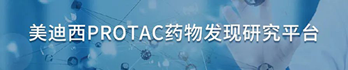 美迪西PROTAC藥物發(fā)現(xiàn)研究平臺(tái).png