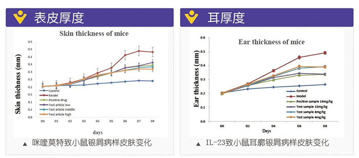 美迪西模擬銀屑病的建模模型-試驗結(jié)果的指標(biāo).png