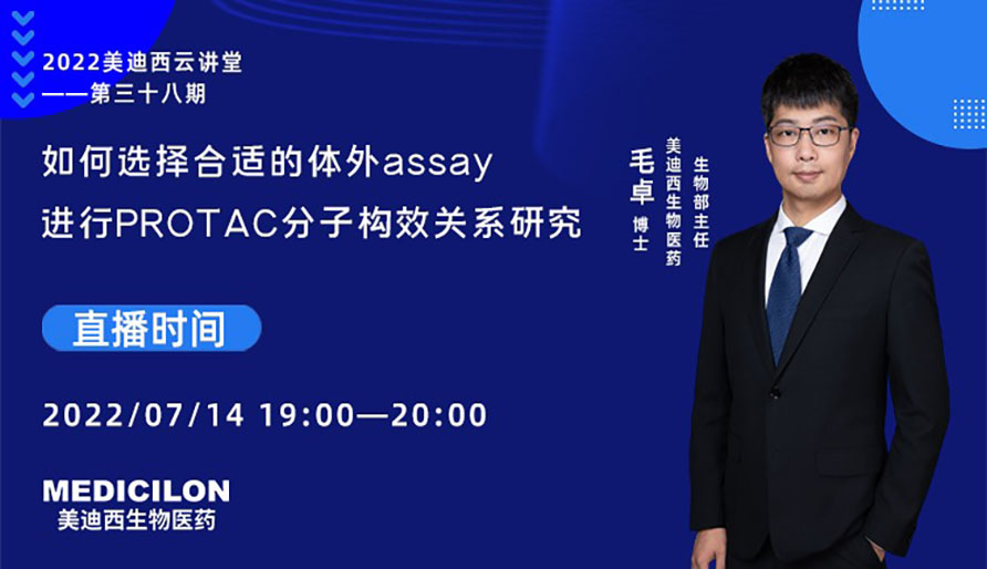 【云講堂】如何選擇合適的體外assay進(jìn)行PROTAC分子構(gòu)效關(guān)系研究
