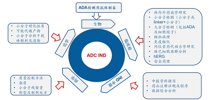 ADC藥物研發(fā)歷程.jpg ADC藥物研發(fā)歷程.jpg