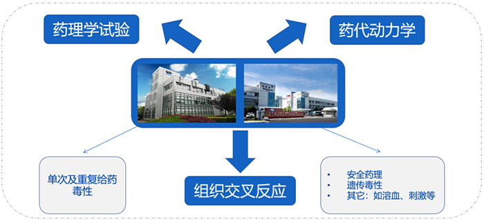美迪西ADC藥物研發(fā)服務(wù)內(nèi)容.jpg 美迪西ADC藥物研發(fā)服務(wù)內(nèi)容.jpg