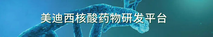 美迪西生物醫(yī)藥核酸藥物研發(fā)平臺(tái).jpg