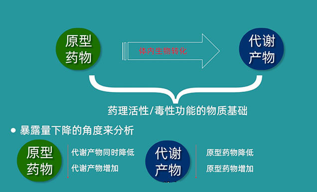 為何藥物系統(tǒng)暴露量AUC在給藥中后期會(huì)突然降低.jpg