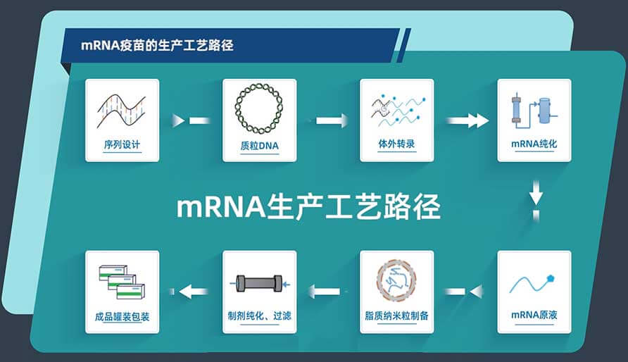 mRNA疫苗的生產(chǎn)工藝路徑