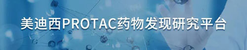 美迪西protac藥物發(fā)現(xiàn)研究平臺.jpg