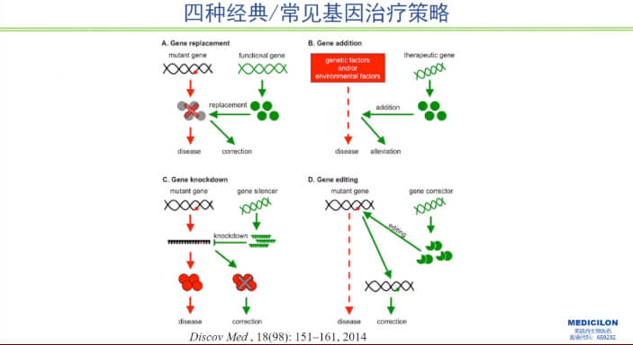 圖1-四種經(jīng)典常見基因治療策略.jpg
