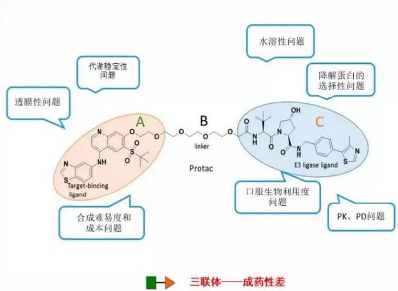 PROTAC分子量較大，溶解性較差.jpg