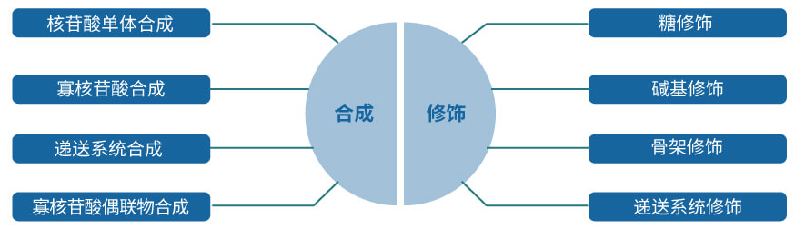 美迪西核酸藥物研發(fā)服務(wù)平臺(tái).jpg