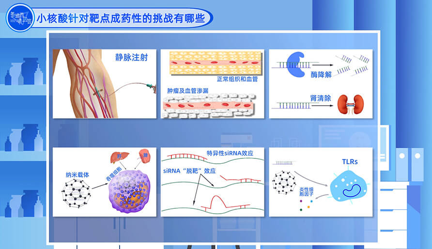 小核酸針對(duì)靶點(diǎn)成藥性的挑戰(zhàn)有哪些？