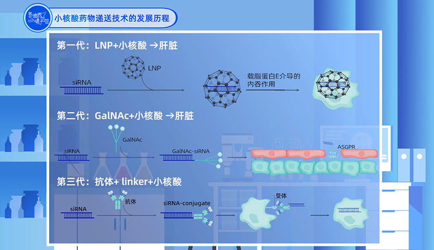 小核酸藥物遞送技術的發(fā)展歷程