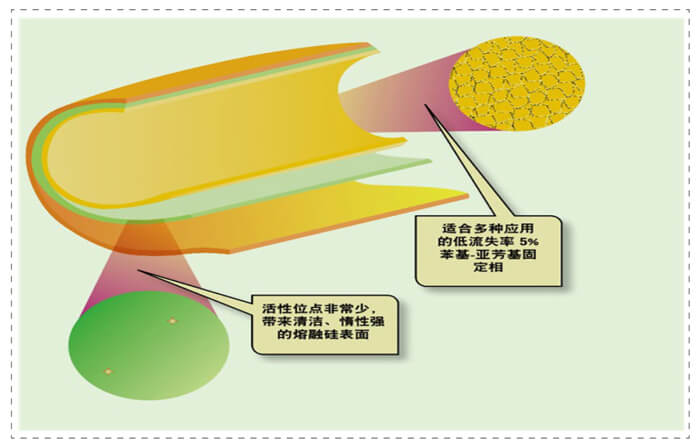 圖3-管壁涂漬開口柱內(nèi)表面未完全屏蔽的活性位點(diǎn).jpg