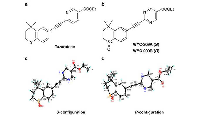 WYC-209可抑制惡性小鼠黑色素瘤腫瘤再生細胞增殖，本研究中SPR通過美迪西使用Biacore 8K進行