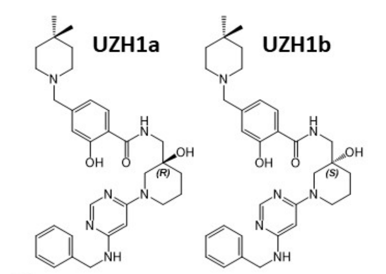 研究人員報(bào)告了一種具有細(xì)胞滲透性的選擇性METTL3納摩爾抑制劑UZH1a，作者感謝美迪西合成了UZH1a和UZH1b