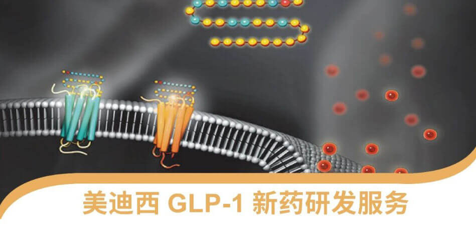 “GLP-1”新藥研發(fā)服務(wù)平臺(tái).jpg