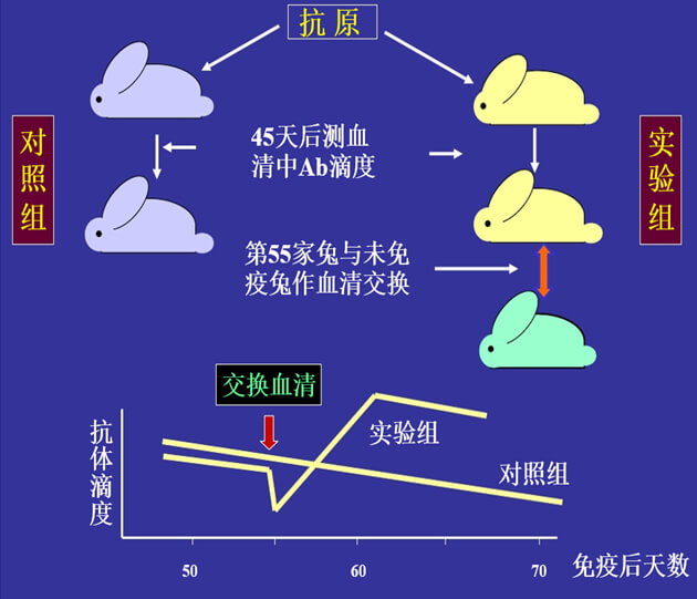 Figure-1：機體對抗體濃度變化的感知與反饋性自我調節(jié).jpg