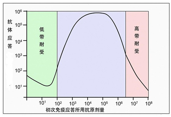 Figure-2-免疫應答產生抗體依賴于初次免疫應答所用抗原劑量.jpg