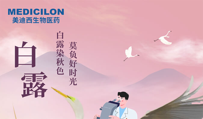 白露 | 白露染秋色，莫負好時光