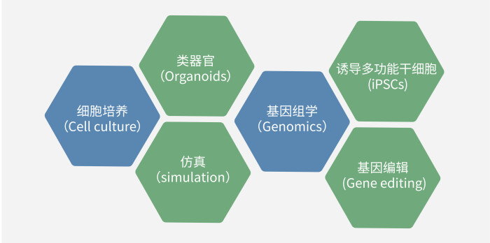 六大技術(shù)板塊已上線，持續(xù)升級中.jpg