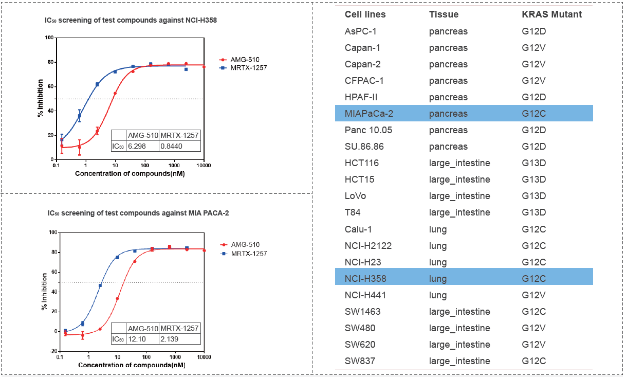 通過CellTiter-Glo檢測2D細(xì)胞增殖試驗(yàn).png