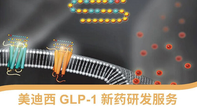 “GLP-1”新藥研發(fā)服務(wù)平臺