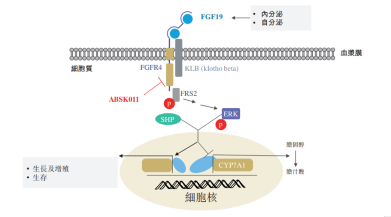 圖源：公開(kāi)資料.jpg