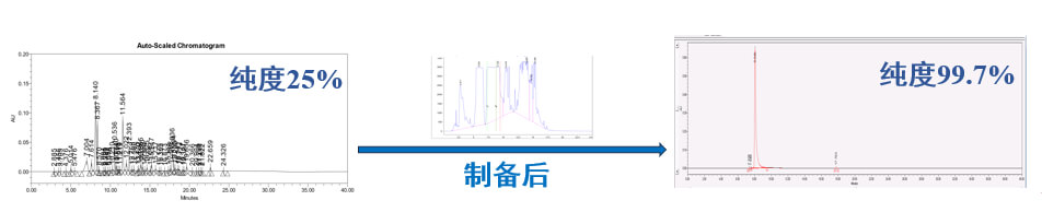 案例一：仿制藥發(fā)補(bǔ)：大極性雜質(zhì)制備.jpg