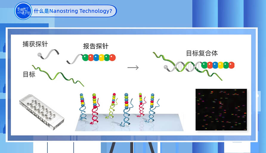 什么是Nanostring 技術？