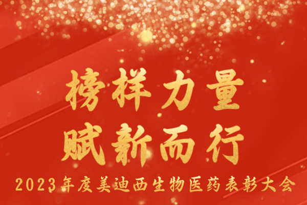 美迪西2023年表彰大會.jpg