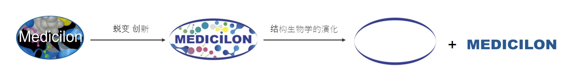 橢圓形作為自然界的完美形態(tài)，象征著美迪西在適應(yīng)環(huán)境變化中不斷演化