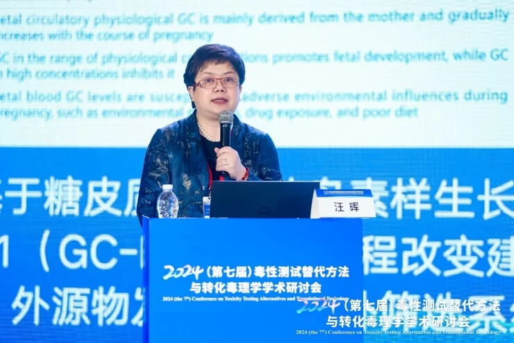武漢大學(xué)汪暉教授作報告.jpg