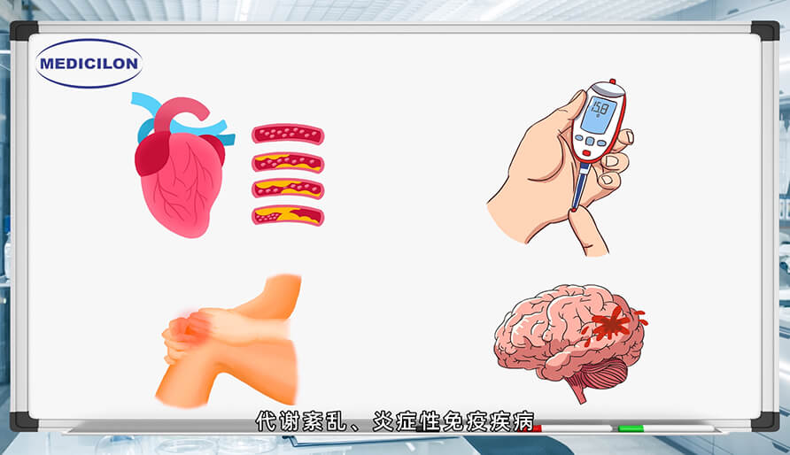 大動物模型在藥物研發(fā)中的作用