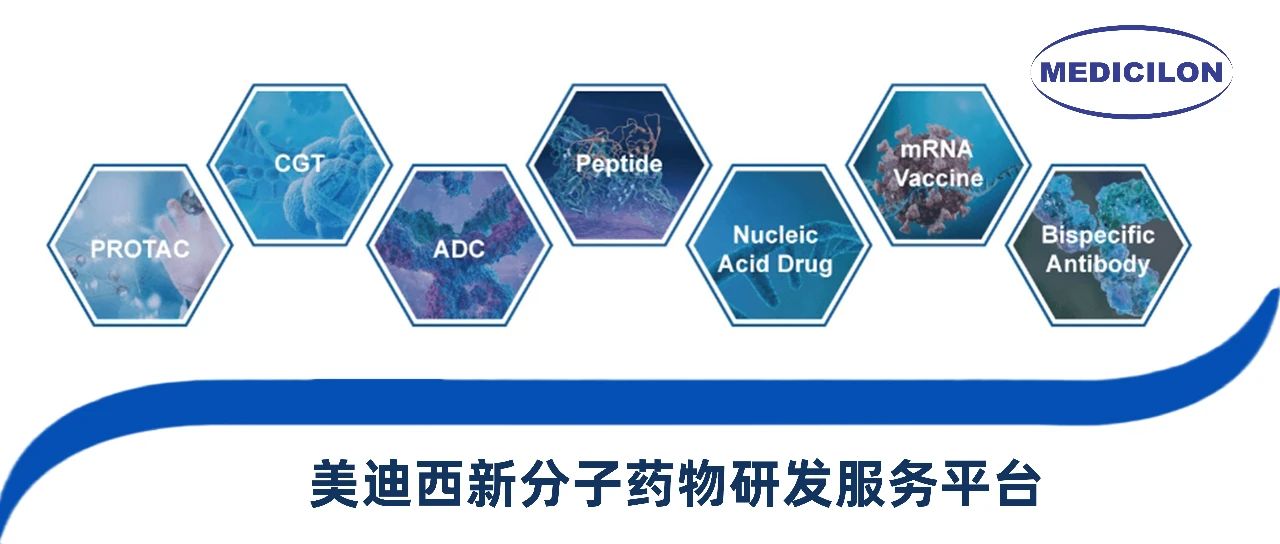 美迪西新分子類型藥物研發(fā)服務(wù)平臺