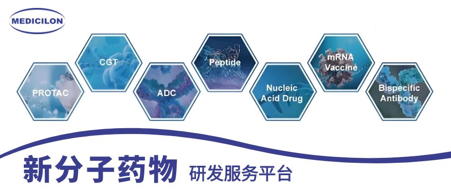 美迪西新分子藥物研發(fā)服務(wù)平臺