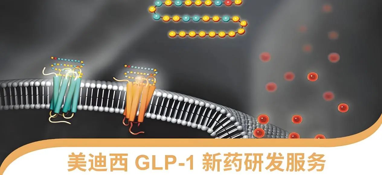 70.5%的成人正在悄悄長胖！國家衛(wèi)健委“減肥令”下，GLP-1藥物如何突圍？